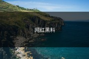 网红黑料