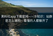 黑料社app下载官网——冷知识：站群是怎么铺的…看懂的人都躲开了