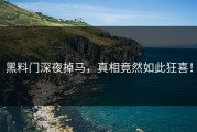 黑料门深夜掉马，真相竟然如此狂喜！