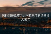 黑料网评论炸了，网友集体崩溃到语无伦次