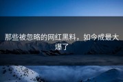 那些被忽略的网红黑料，如今成最大爆了