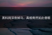 黑料网深夜掉马，真相竟然如此傻眼