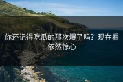 你还记得吃瓜的那次爆了吗？现在看依然惊心