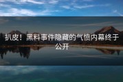 扒皮！黑料事件隐藏的气愤内幕终于公开