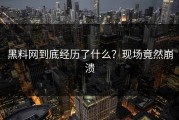 黑料网到底经历了什么？现场竟然崩溃