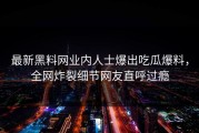 最新黑料网业内人士爆出吃瓜爆料，全网炸裂细节网友直呼过瘾