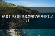 扒皮！黑料网隐藏的爆了内幕终于公开
