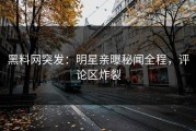 黑料网突发：明星亲曝秘闻全程，评论区炸裂