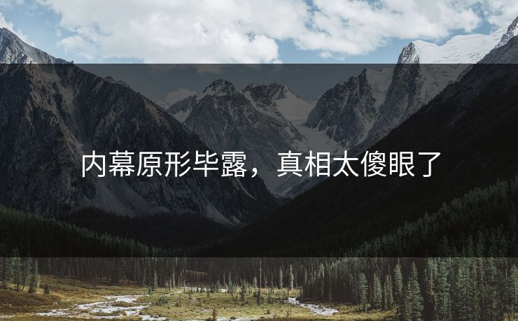 内幕原形毕露，真相太傻眼了