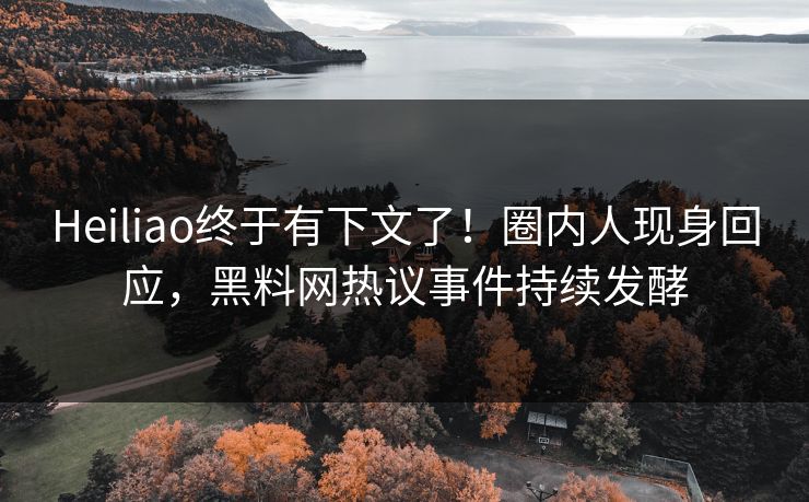 Heiliao终于有下文了！圈内人现身回应，黑料网热议事件持续发酵