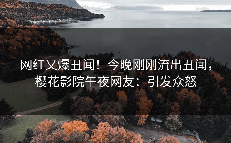 网红又爆丑闻！今晚刚刚流出丑闻，樱花影院午夜网友：引发众怒