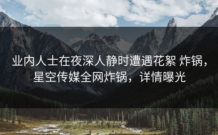 业内人士在夜深人静时遭遇花絮 炸锅，星空传媒全网炸锅，详情曝光