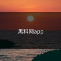 黑料网app