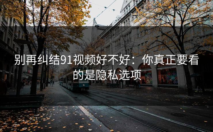 别再纠结91视频好不好：你真正要看的是隐私选项